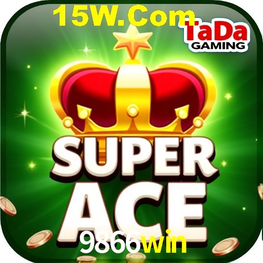 Security Systems 9866win